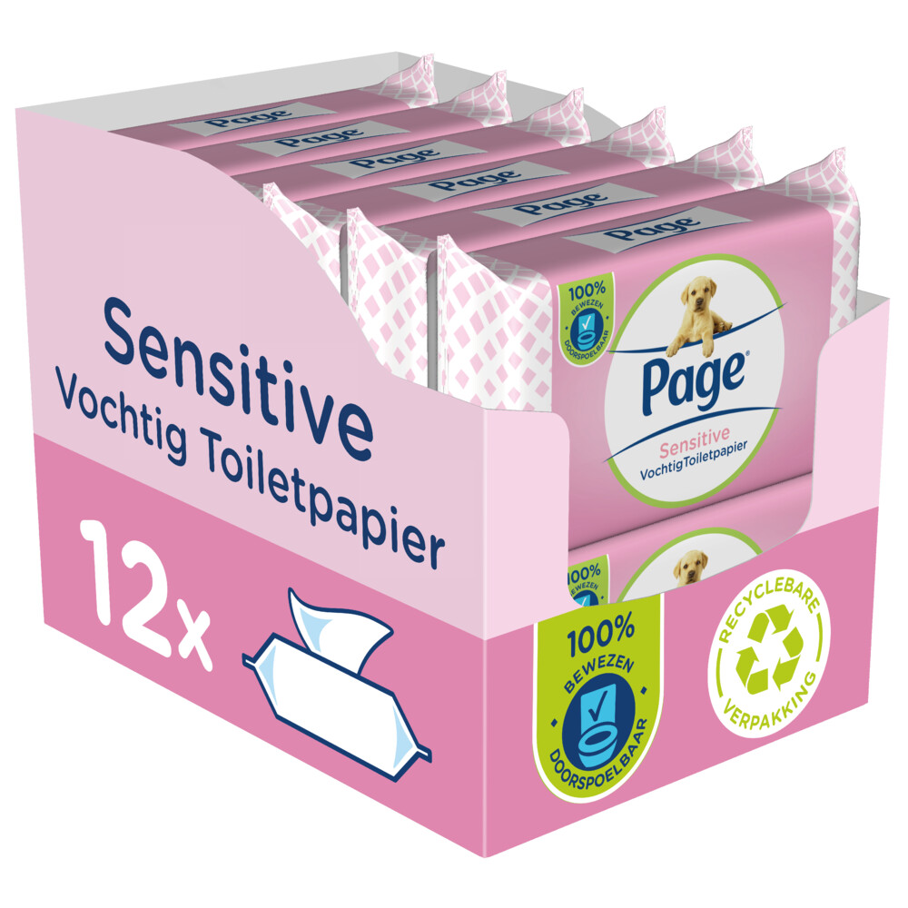12x Page Vochtig Toiletpapier Sensitive38 stuks