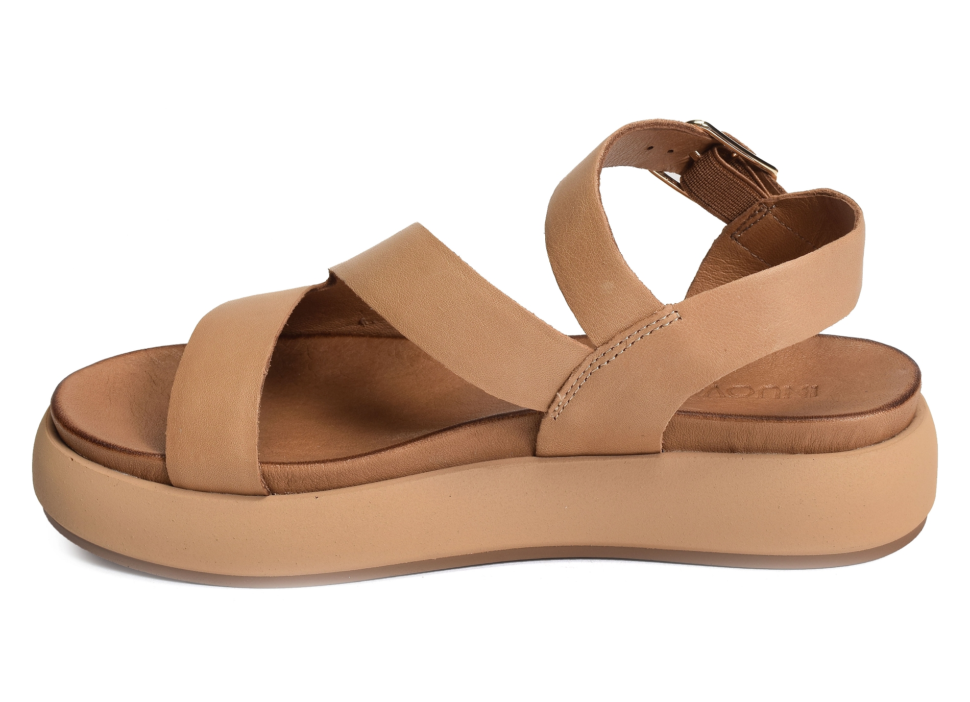 A96001 camel