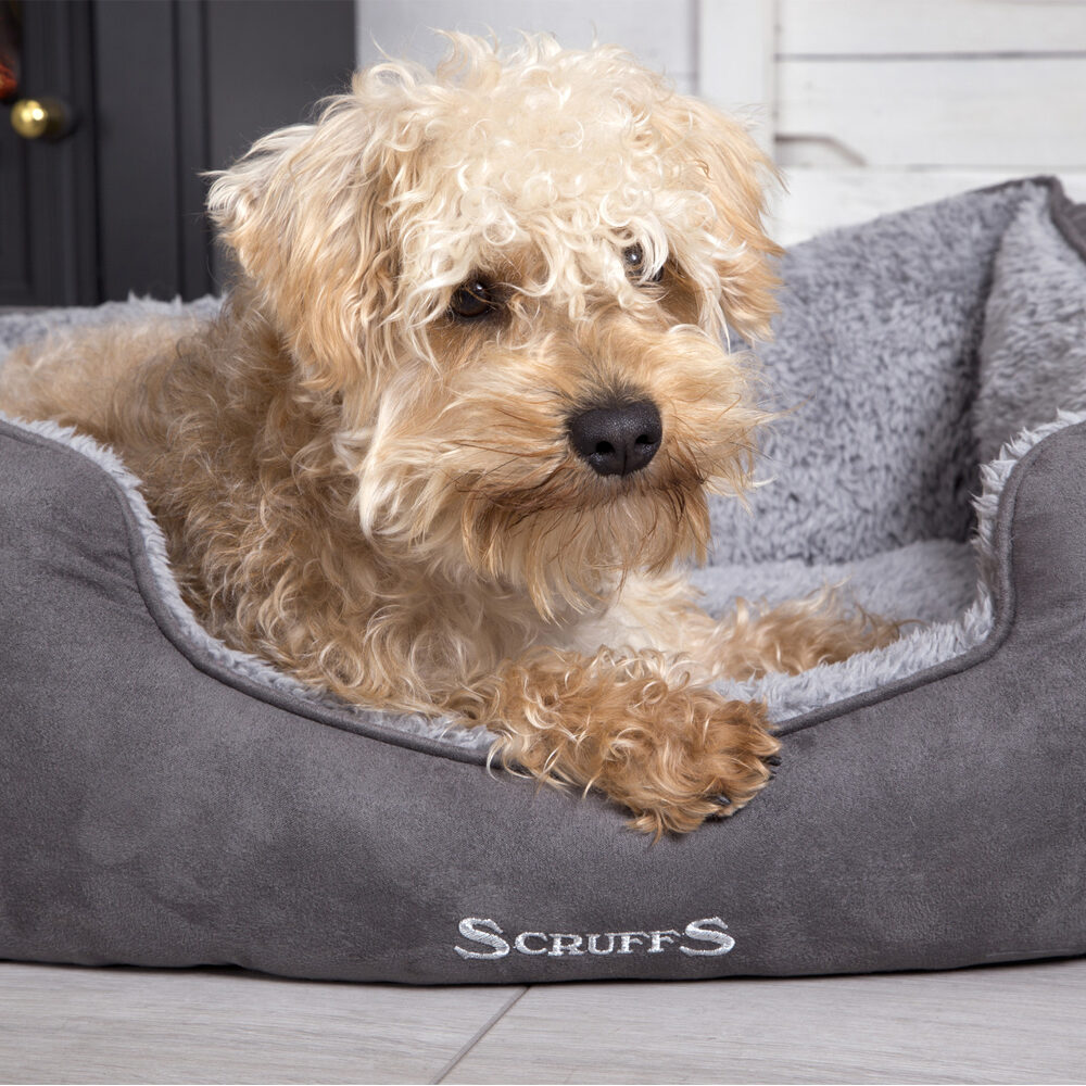 Scruffs Cosy Box Bed