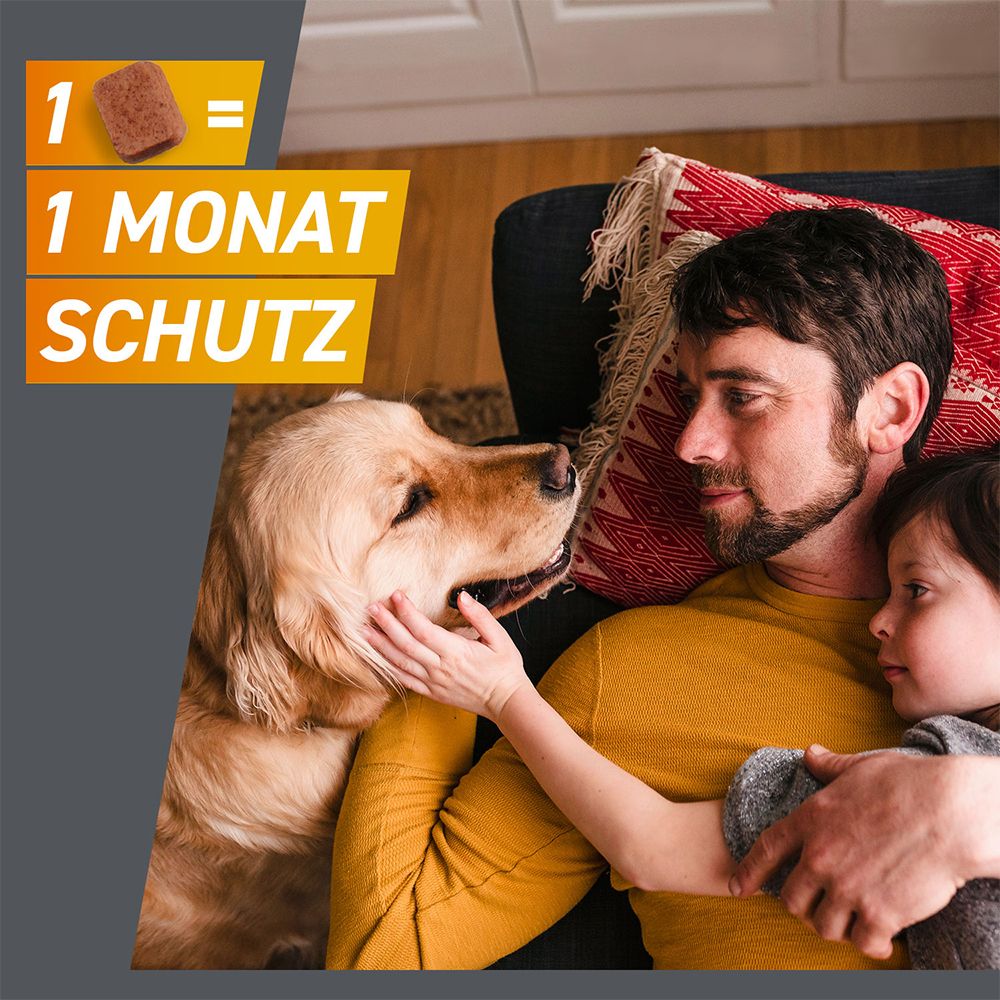 FRONTPRO® Kautablette gegen Zecken und Flöhe für Hunde (>25-50kg)