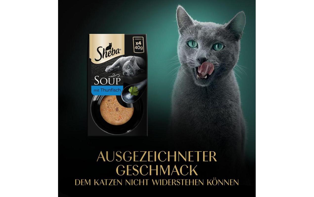 Nassfutter Classic Soup mit Thunfischfilet, 4 x 40gAlleinfuttermittel für ausgewachsene Katzen