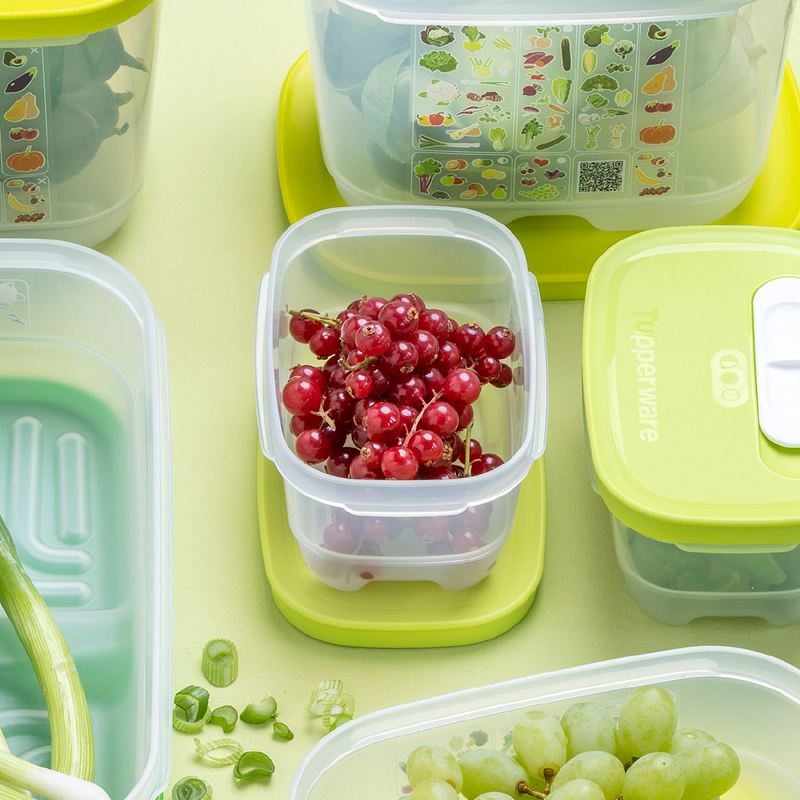 KlimaOasen-Set (5) Grundausstattung zum Frischhalten von Gemüse, Obst und Kräuter