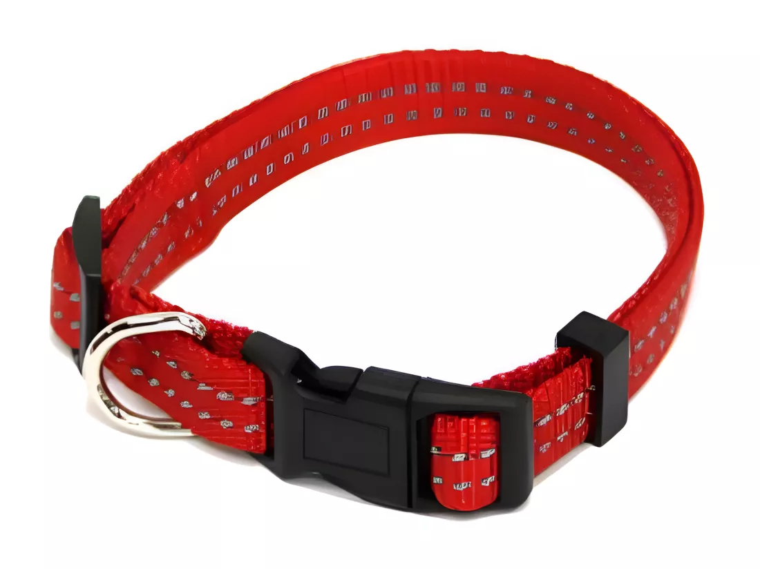 Collier Réglable 
