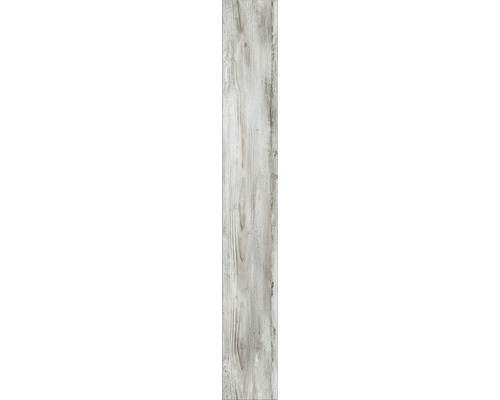 Laminaat 12.0 Fantasy Wood