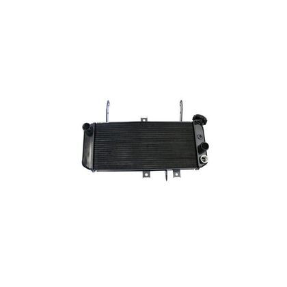 Radiateur Brazoline A EAU ADAPTABLE