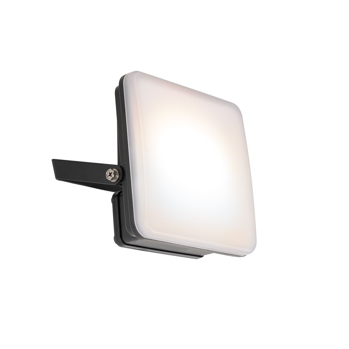 Smart straler zwart 14,5 cm incl. LED IP65 met grondpin - Ruud