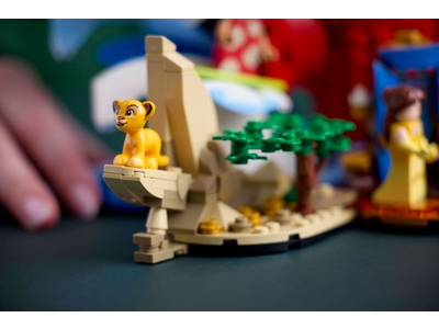 LEGO Disney magie (21352)