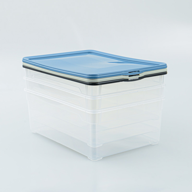 Lot de 3 boites 'Clear Box' 10L