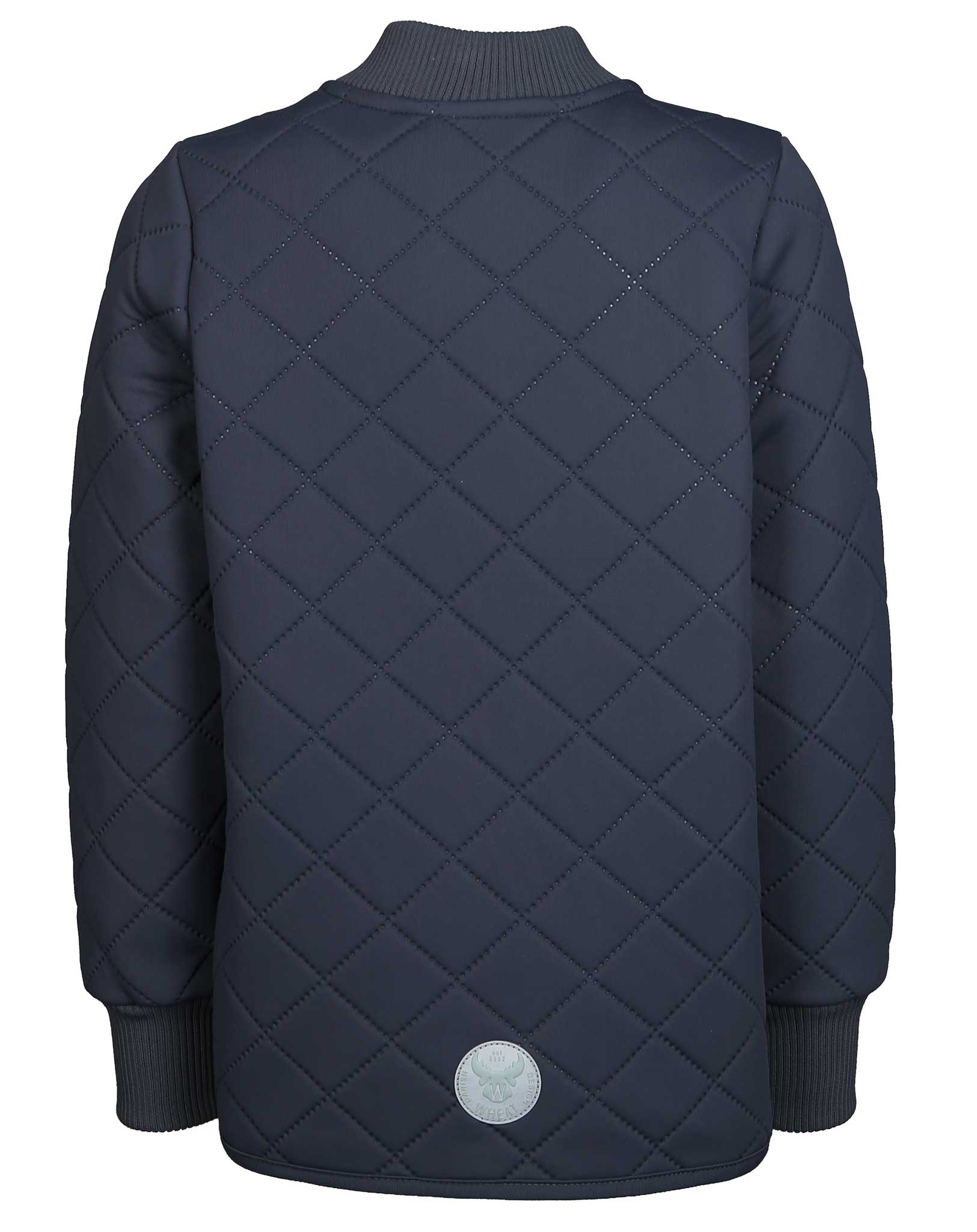 Thermo-Steppjacke LOUI in ink