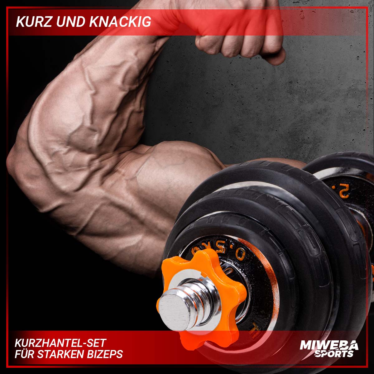Miweba Sports FED 4in1-Hantelset, Kurzhanteln, Langhantel, Hantelscheiben Stahl, 20/30 kg, Koffer (ohne Kugelhantel-Griffen, 20 Kg schwarz)