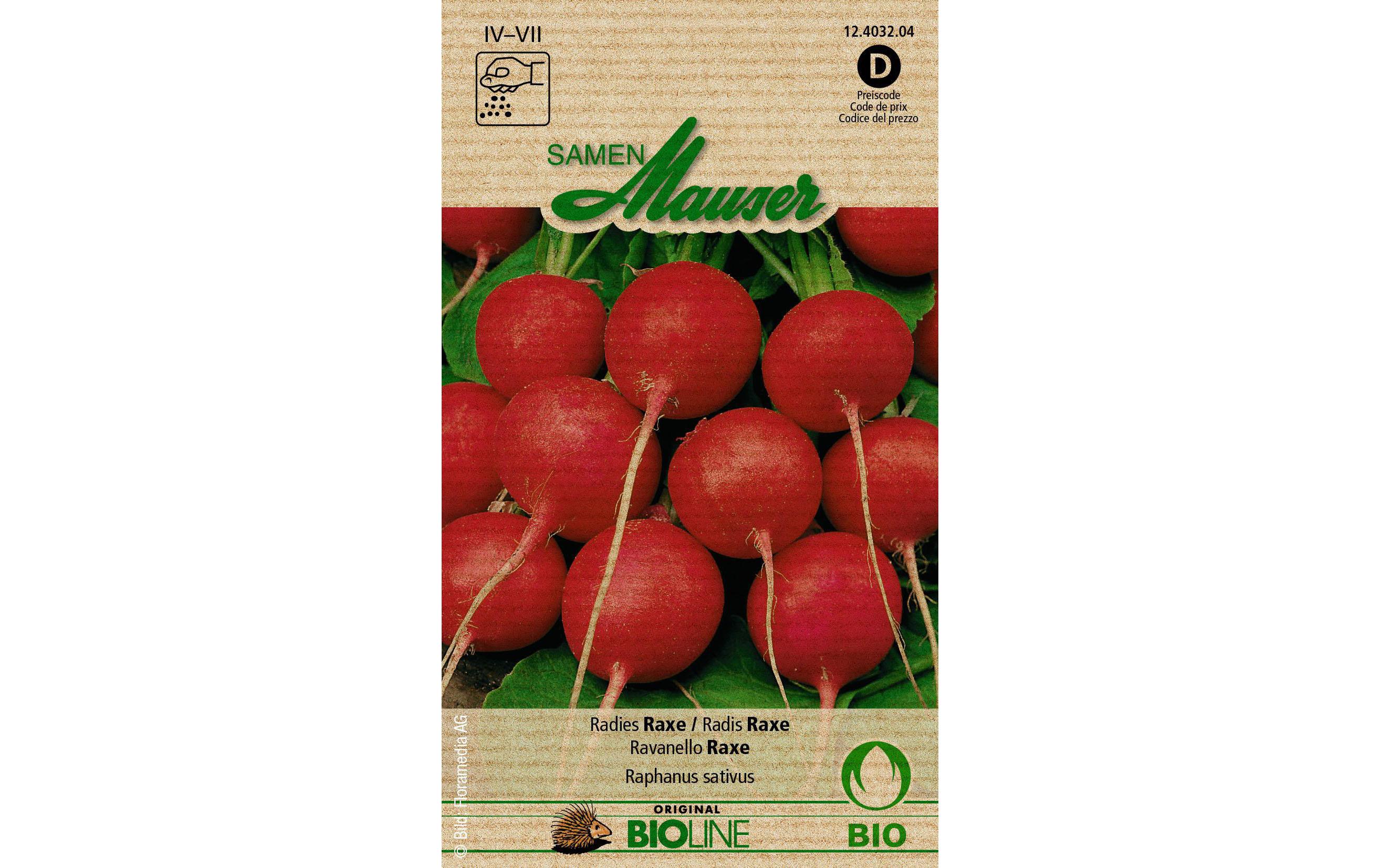Samen Bioline Radies RaxeGemüsesamen
