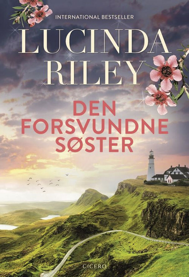 Bøger Den forsvundne søster - new look