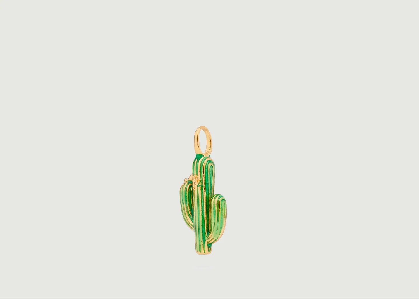Charm's Cactus N2