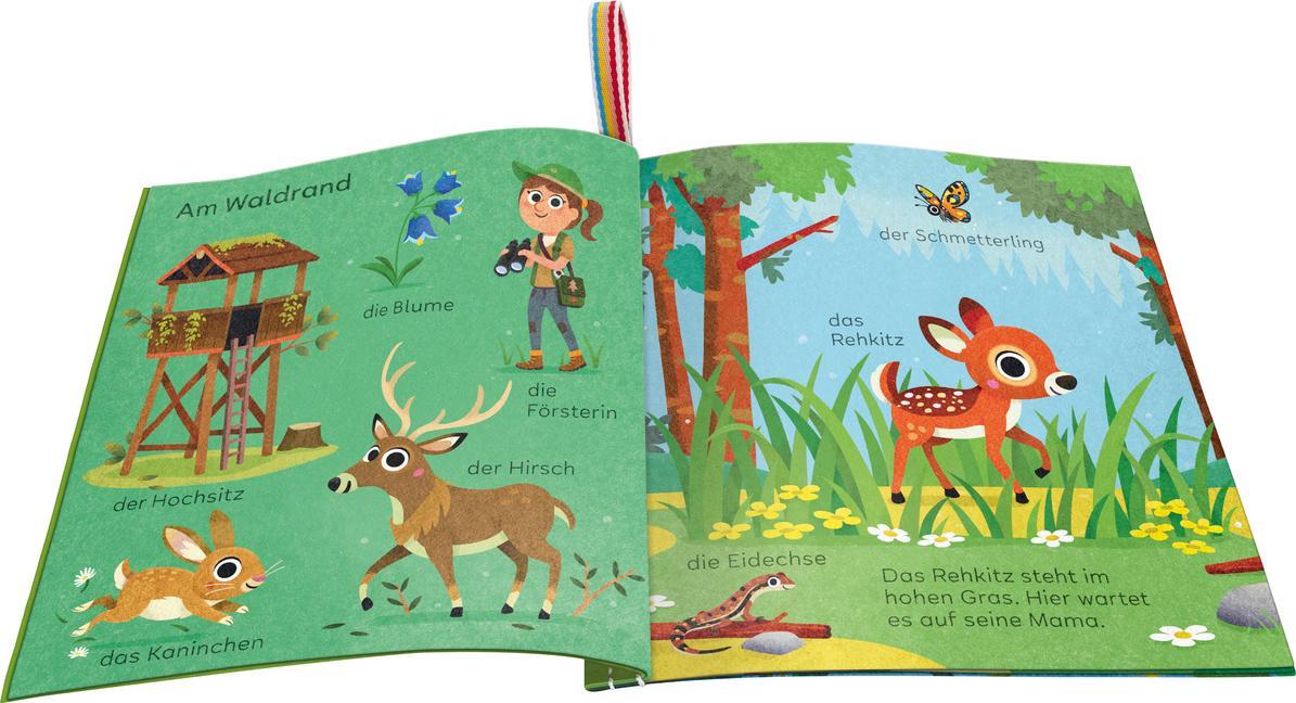 Mein Knuddel-Knautsch-Buch: Im Wald; robust, waschbar und federleicht. Praktisch für zu Hause und unterwegs
