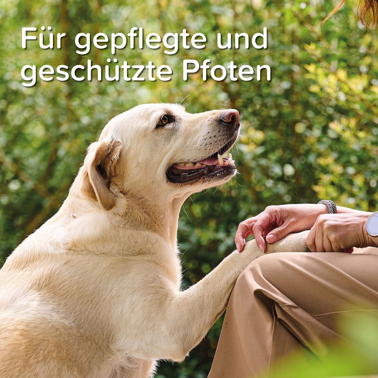 Beaphar Pfoten-Pflege Spray (mit Propolis) 150ml