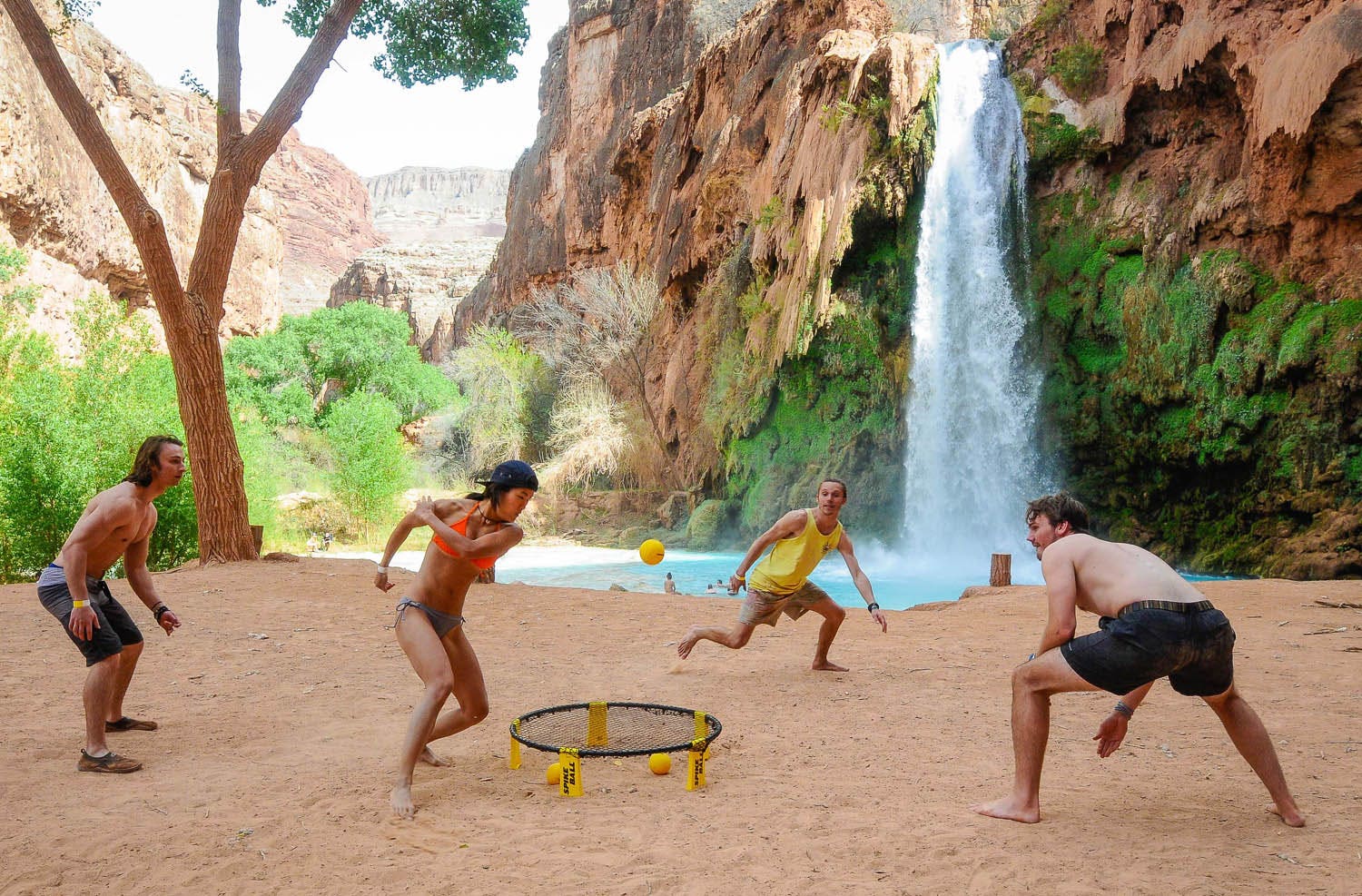 Spikeball  Standard Combo Set