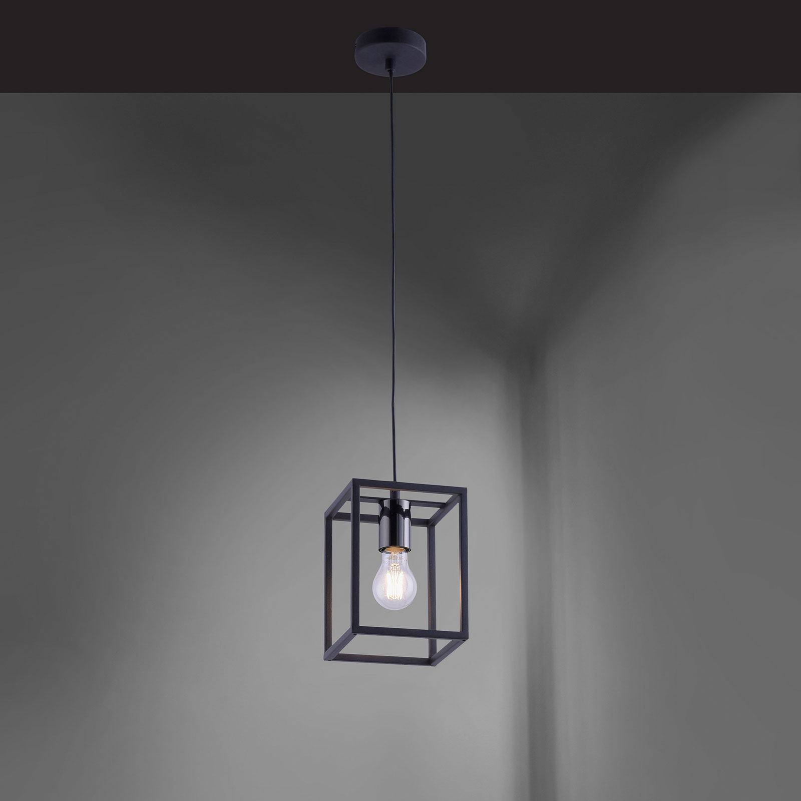 Pendelleuchte - schwarz - 120 cm