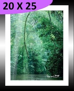 TABLEAU 20 CM X 25 CM BAGUETTE NOIR MAT JUNGLE