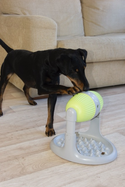 2in1 Pet Slow Feeder Strategiespiel Haustier Futter Spender Intelligenz Spielzeug Leckerli Automat für Hunde / Katzen (VMAVACIND0002)
