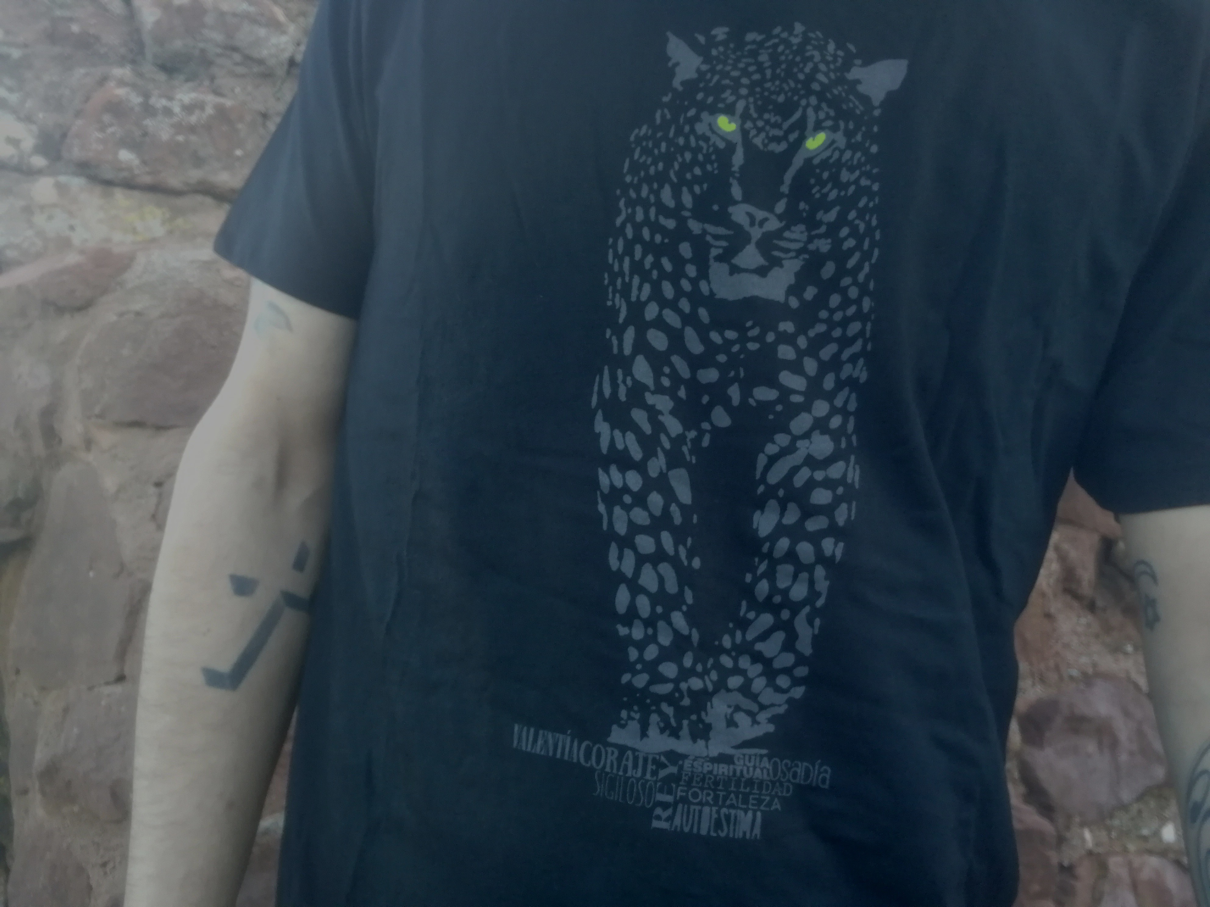 Camiseta masculina Jaguar, preta