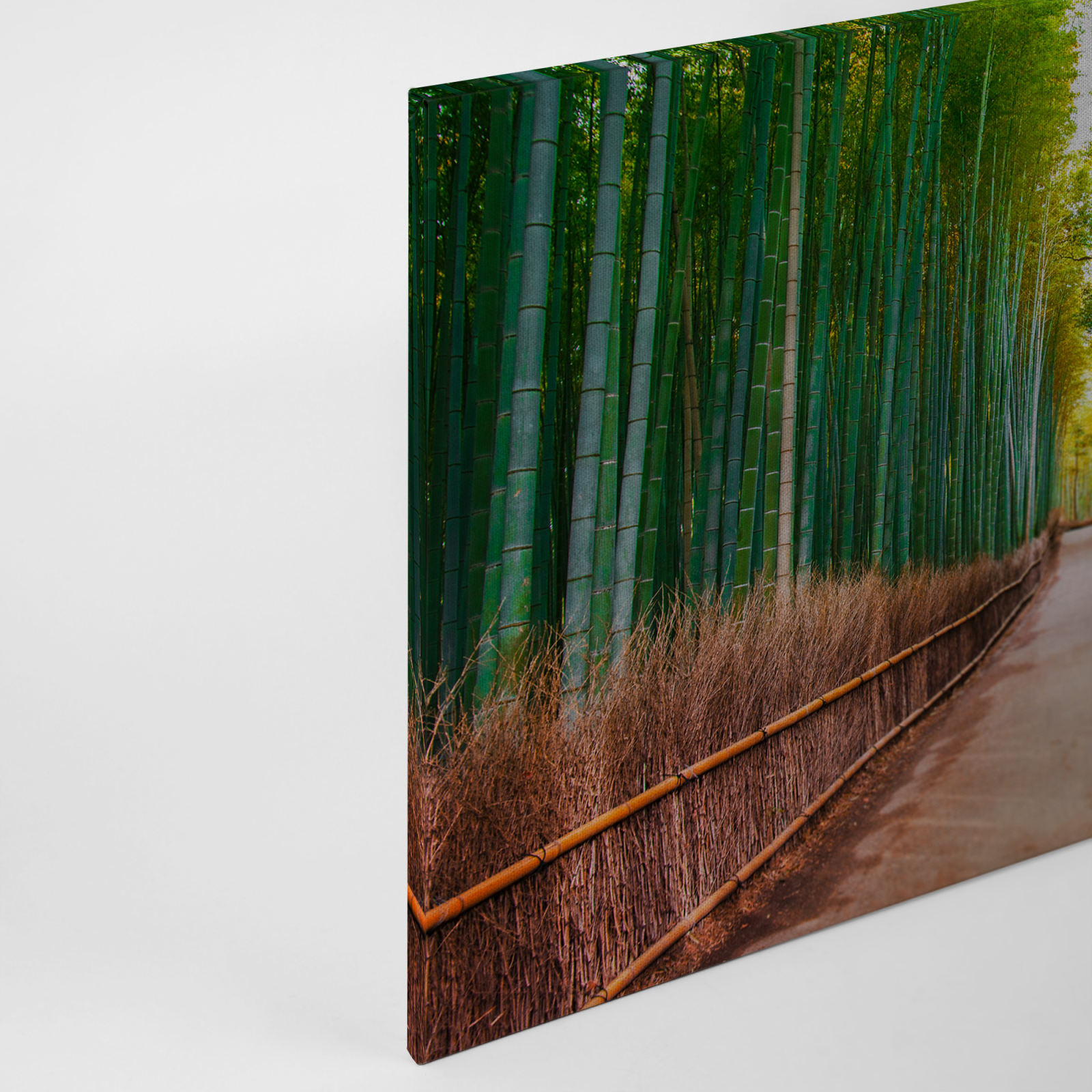 Leinwandbild BAMBUSWALD - grün - 90x60 cm