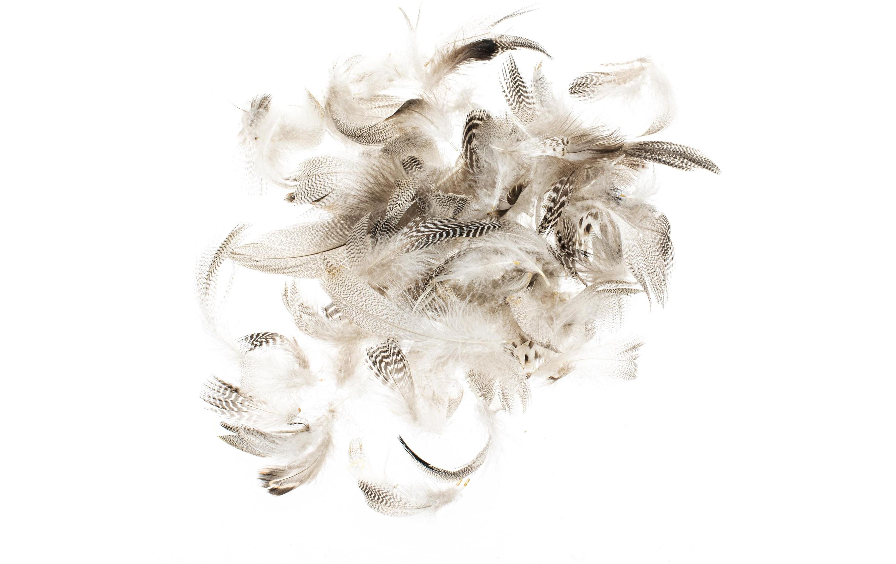 Federn Hahn 5-12 cm, 10g, BraunHahnenfedern