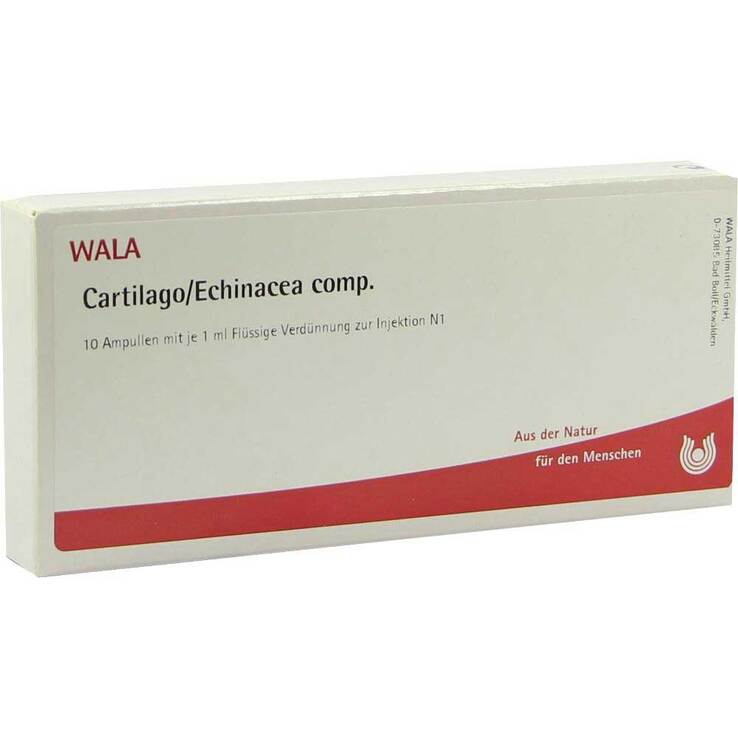 Cartilago / Echinacea comp.Ampullen, 10X1 ml