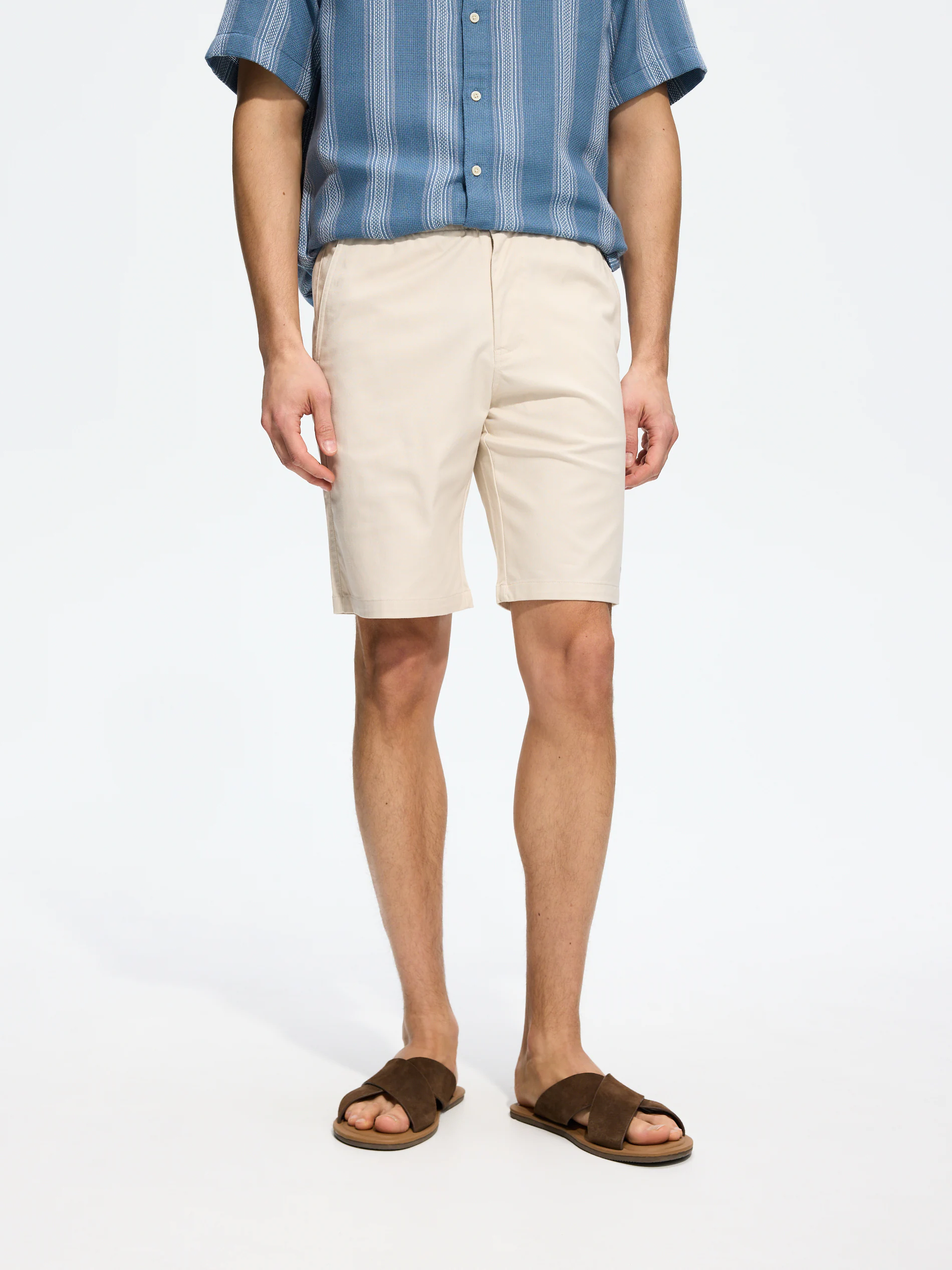 Chinoshorts im Regular-Fit