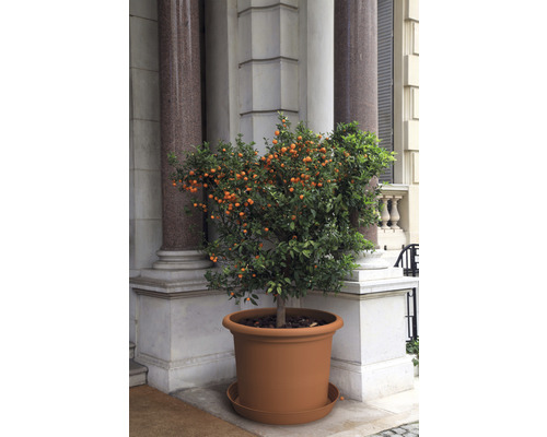 Campanula bloempot, kunststof, Ø 23 cm, H 16,6 cm, terracotta