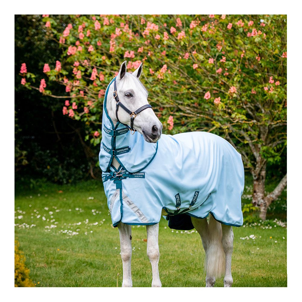 Horseware AMIGO PLANT DYE 50G - Couverture de paddock + couvre-cou blue/navy