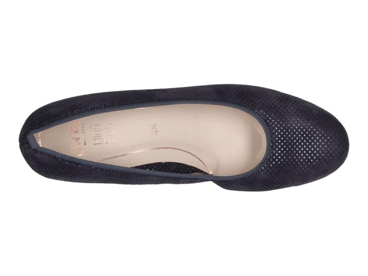Ara 12-16601 midnight