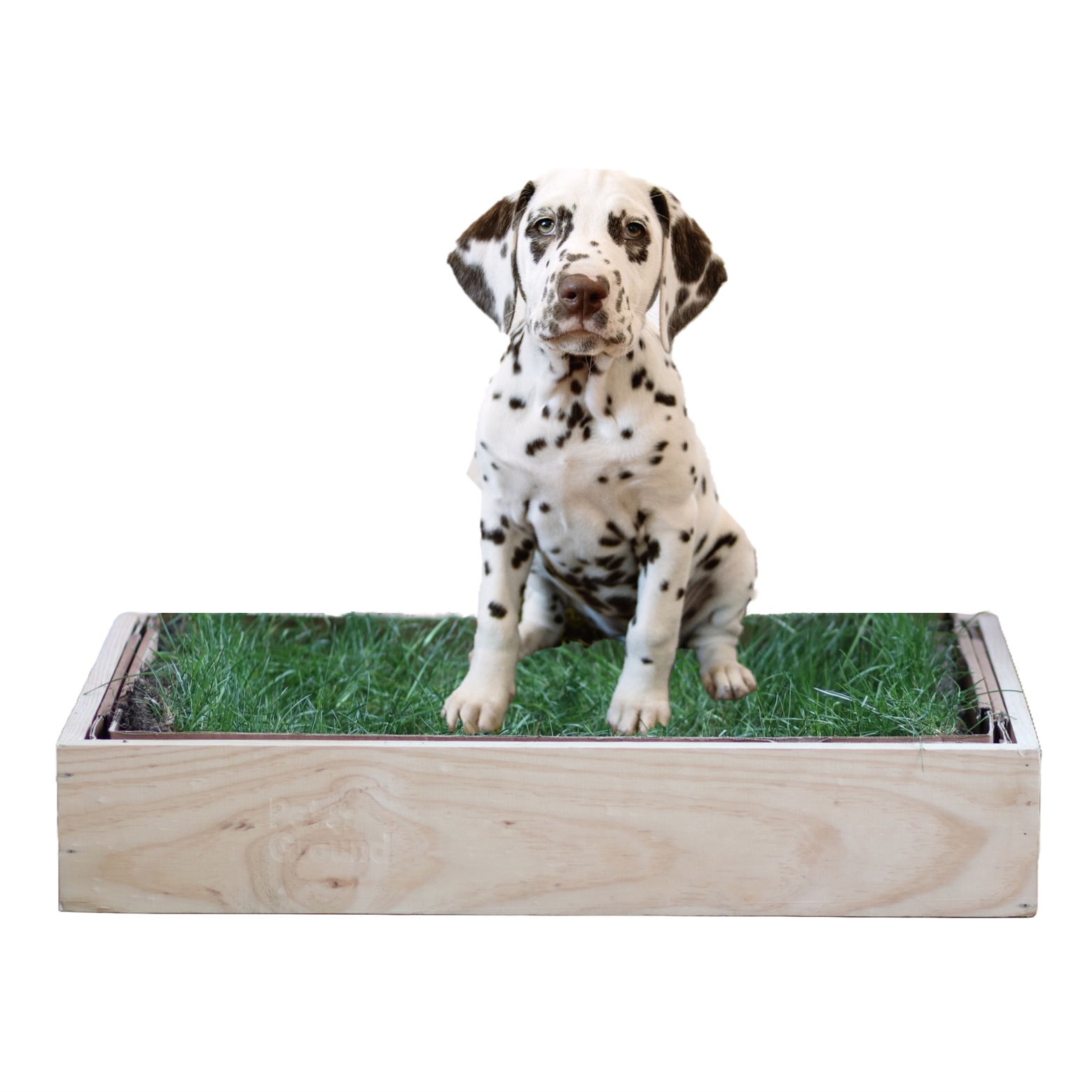 Caixas de madeira PetGround