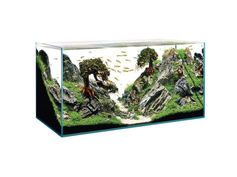 OASE Aquarium ScaperLine 100, 250 l ScaperLine Aquarien aus Optiwhite-Glas
