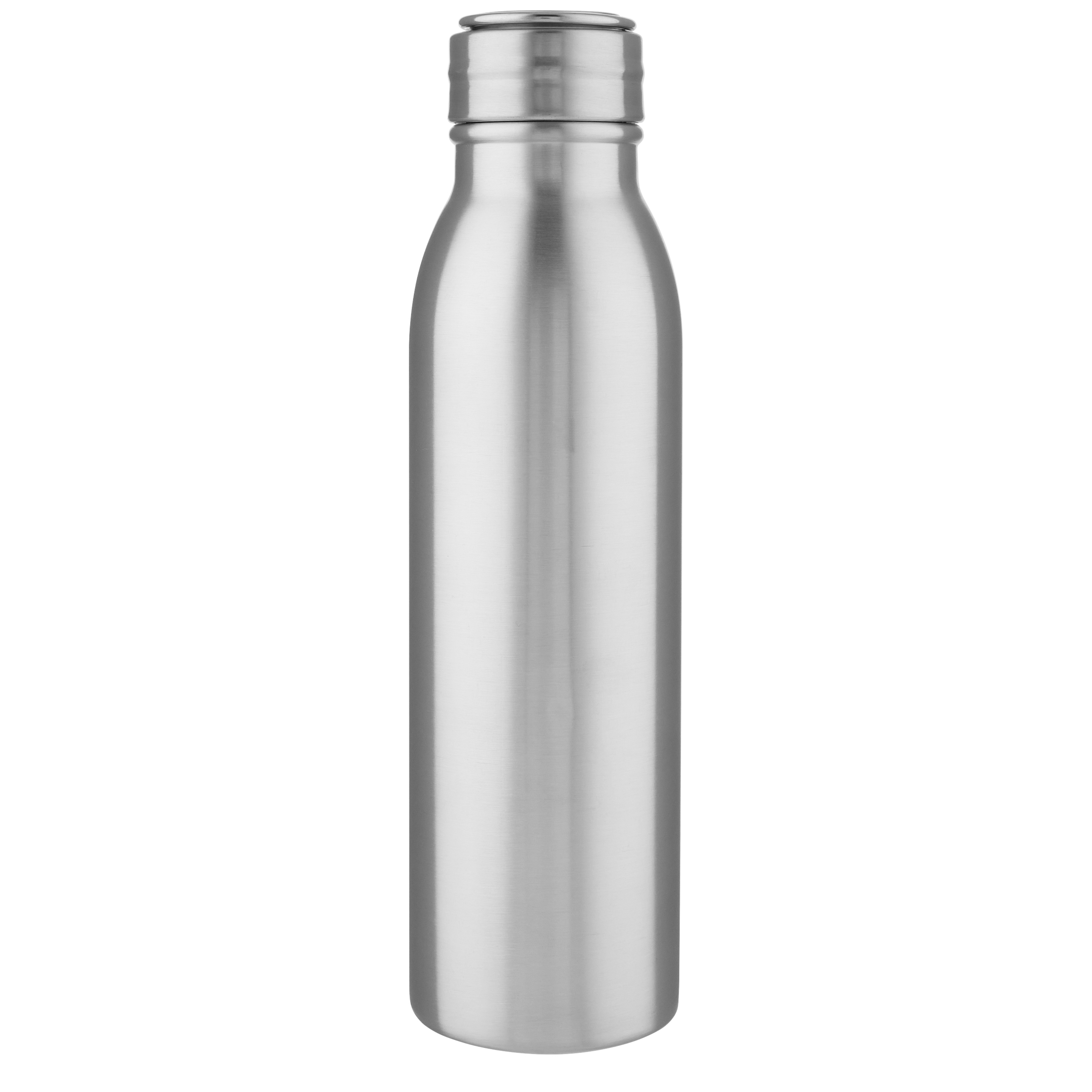EgotierPro 100792 - Bouteille Écologique en Acier Inoxydable 700 ml