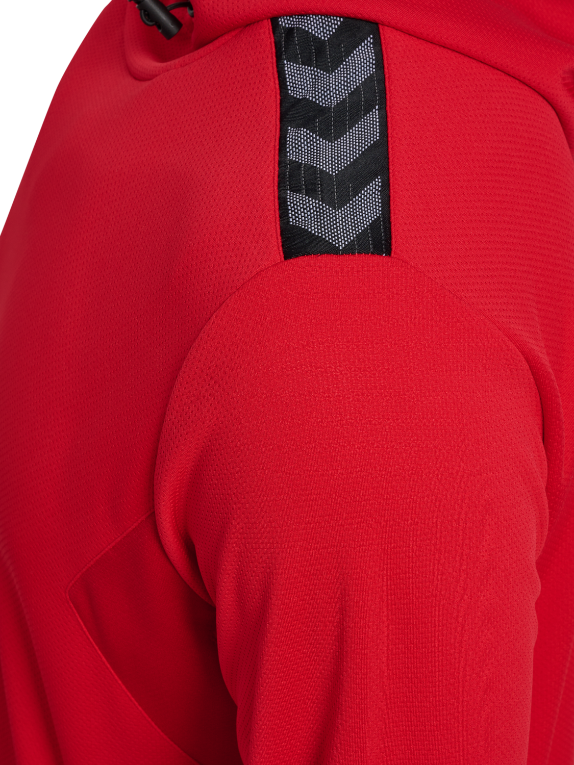 hmlAUTHENTIC PL HOODIE
