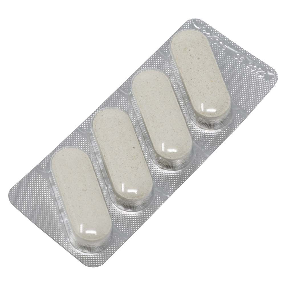Canikur® Kautabletten für den Hund – Das Diätergänzungsfuttermittel zur Linderung akuter Resorptionsstörungen des Darms bei und nach akutem Durchfall