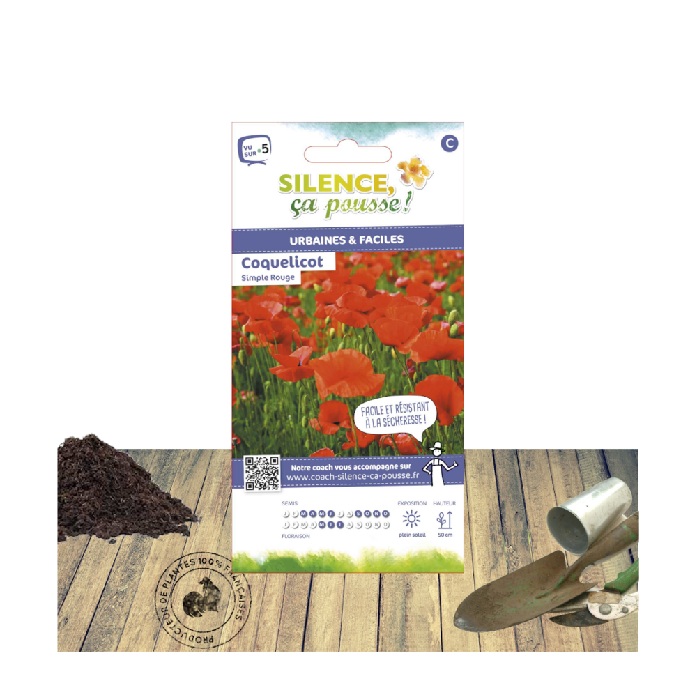Graines de coquelicot simple rouge/papaver rhoeas[-]sachet de 0,50 gr.