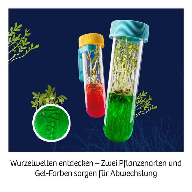Fun Science - Aqua-Gel Pflanzen