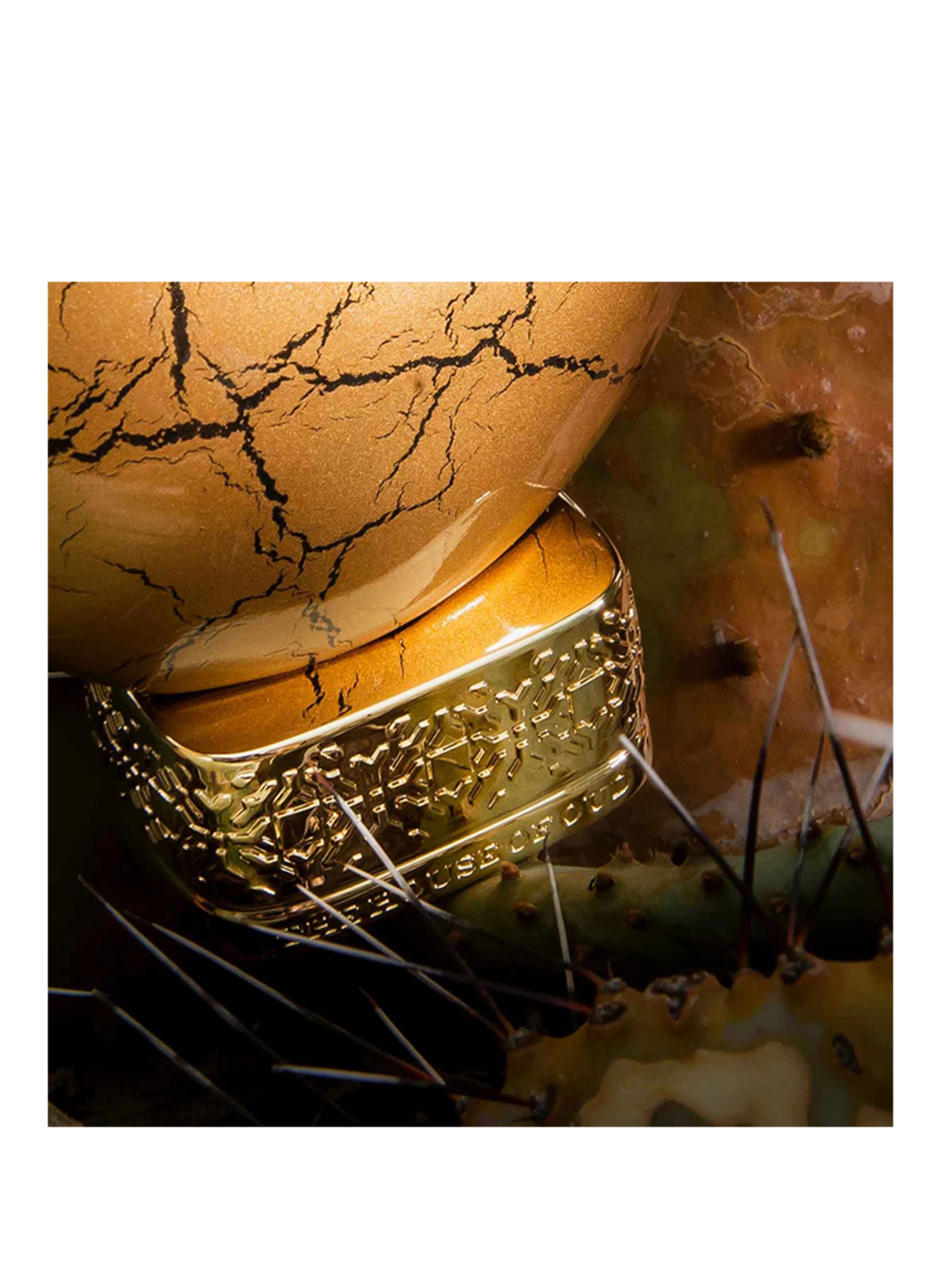 THE HOUSE OF OUD GOLDEN POWDER