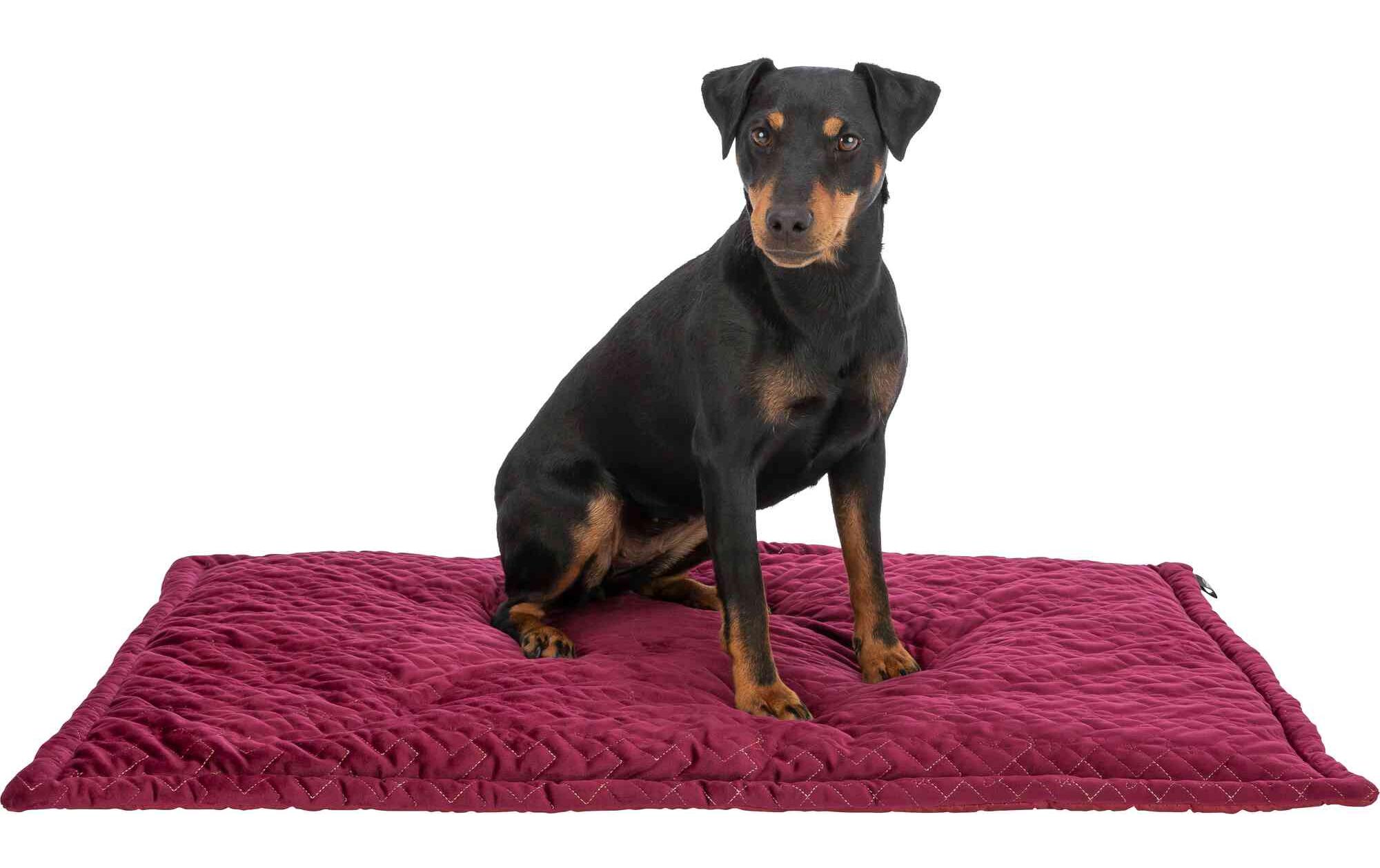 Hunde-Liegematte Natalya, 90 × 60 cm, bordeauxHundebett