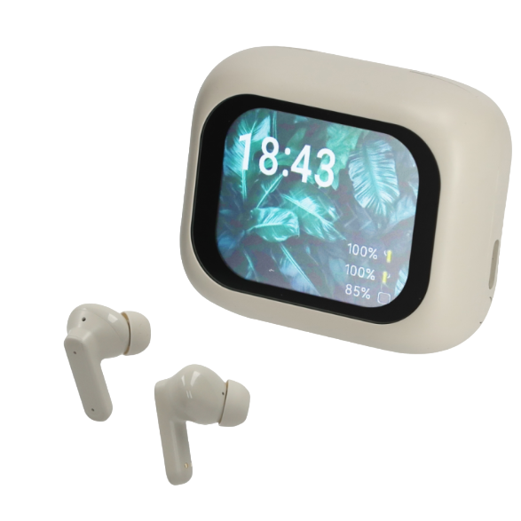 ANC/ENC Display Earbuds
