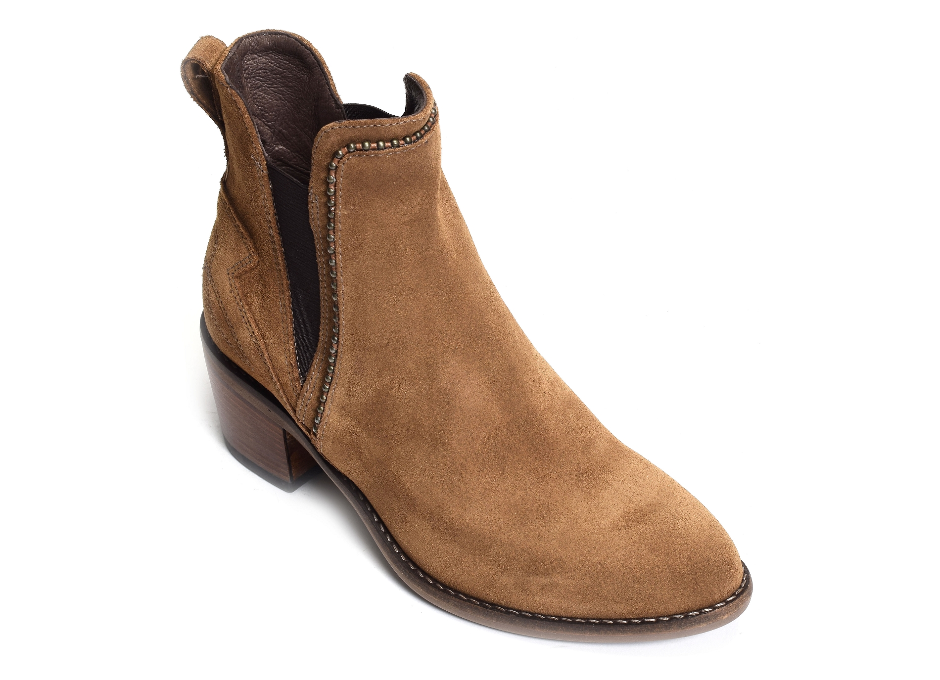 16791 camel