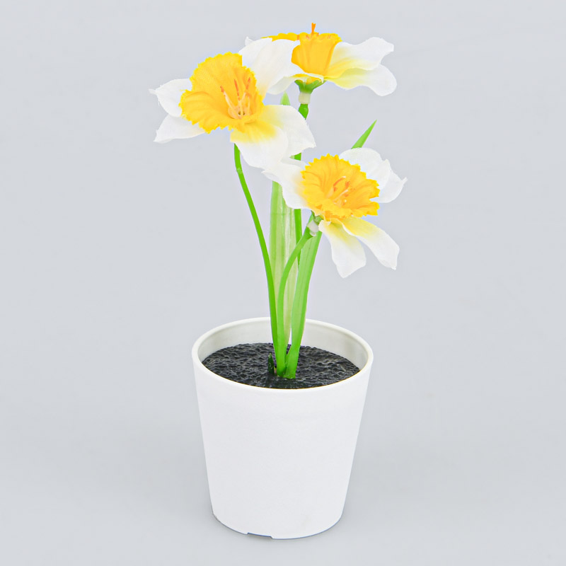 Mini composition de jonquilles