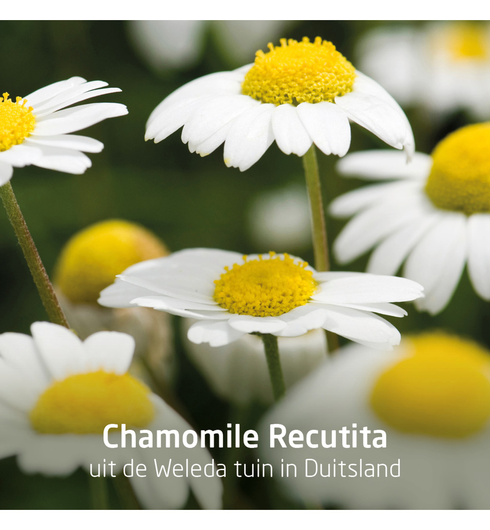 WELEDA Planten tandpasta (75 ml)