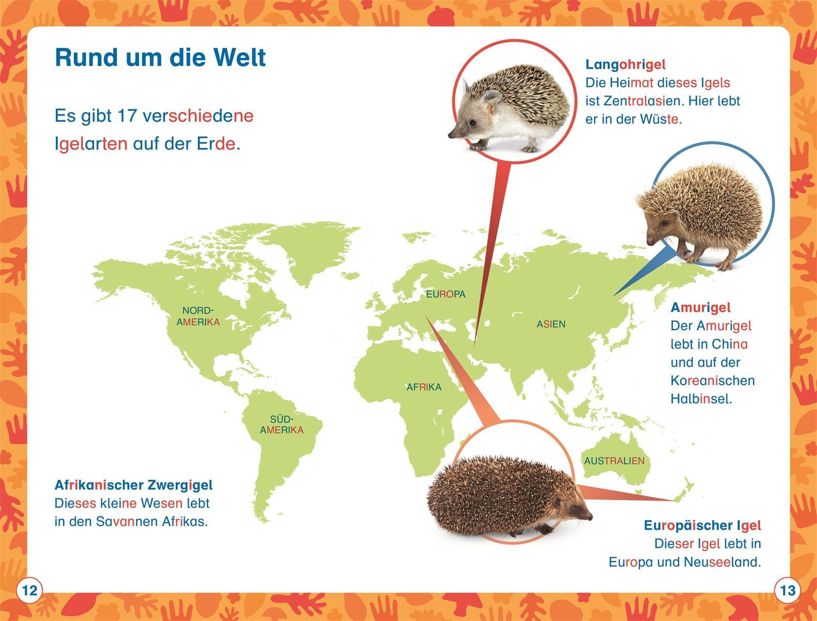 SUPERLESER! Hallo, Igel!