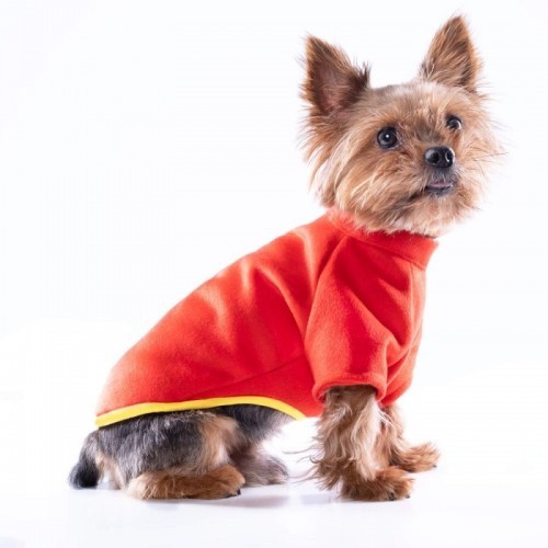 Casaco para cães Groc Groc Chiu com botões laranja mesclados