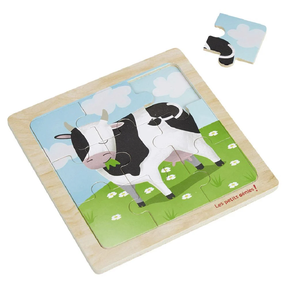 Puzzle en bois 9 pièces