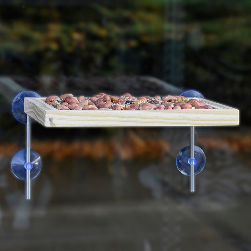 Table alimentation oiseaux pour fenêtre