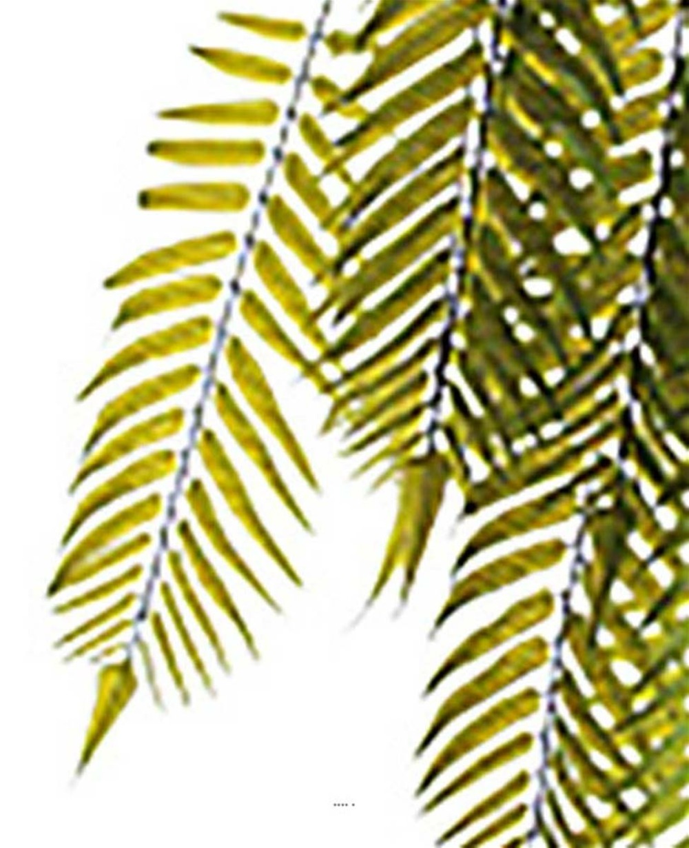 Chute de palmier artificiel l 100 cm vert 8 ramures