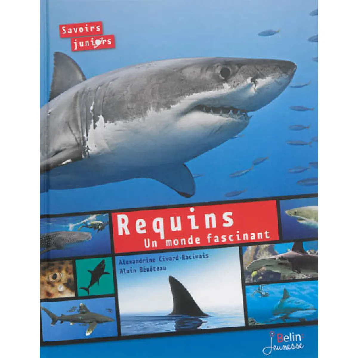 Requins, un monde fascinant · Occasion